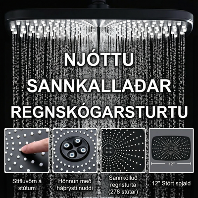 Regnsturtuhaus með Handsturtu