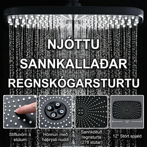 Regnsturtuhaus með Handsturtu